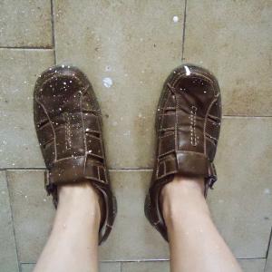 Collettivo Instabile Morelli Mazzesi Collettivo Instabile Morelli Mazzesi