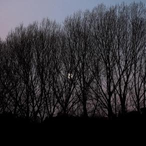 La natura mi guida ( The nature guides me ) 