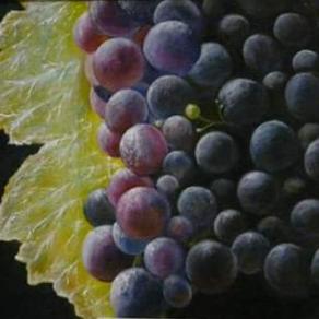 GRAPPOLO D'UVA