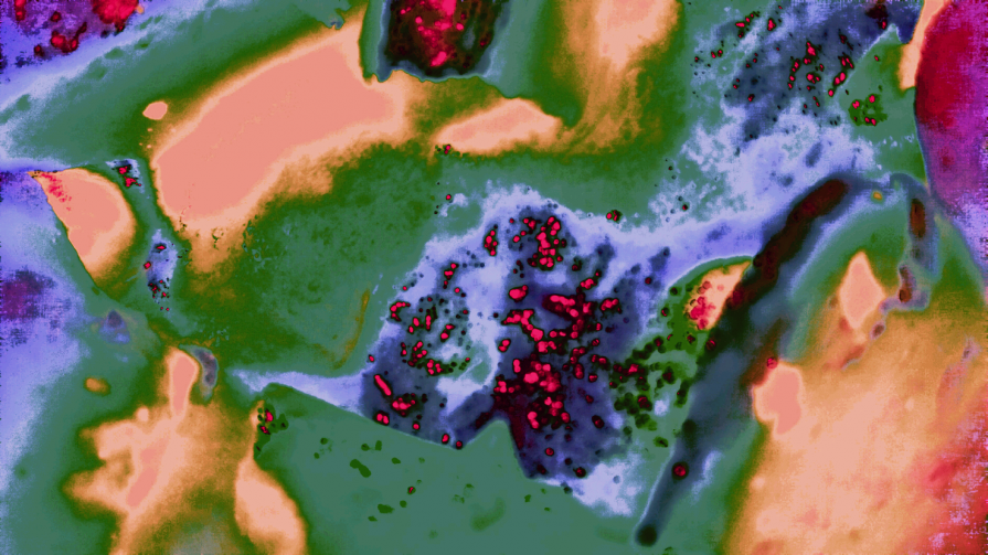 Pustole Insanguinate