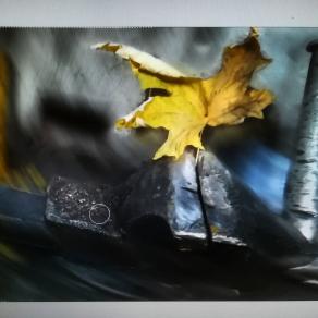 L'ultima foglia cadrà poi sarà inverno. 