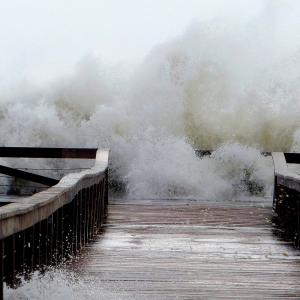 micro & MACRO micro & MACRO