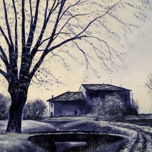 Dal 7 Gennaio a Modena visioni personali del paesaggio in "Dimensione ambiente"