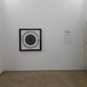 Dall'Angelica alla Temple- A cura di Isabella de Stefano e Shara Wasserman-Gallery of Art Temple University Roma