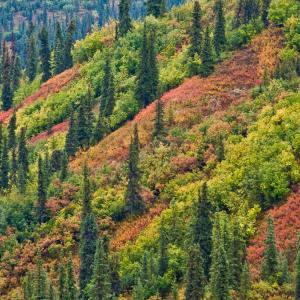 USA. Alaska 2/3. Confini e oltre