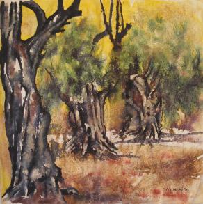 Ulivi del parco di Renoir