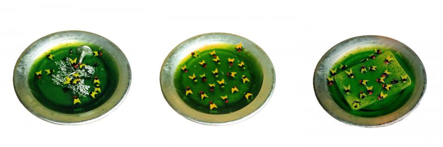 madness in  the plate