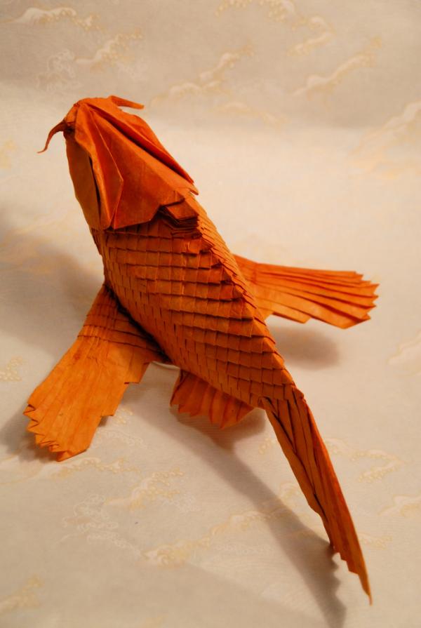 Flying Carp Flying Carp