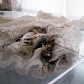 INSHALLAH 2.2 - Dio proteggi il mio bambino