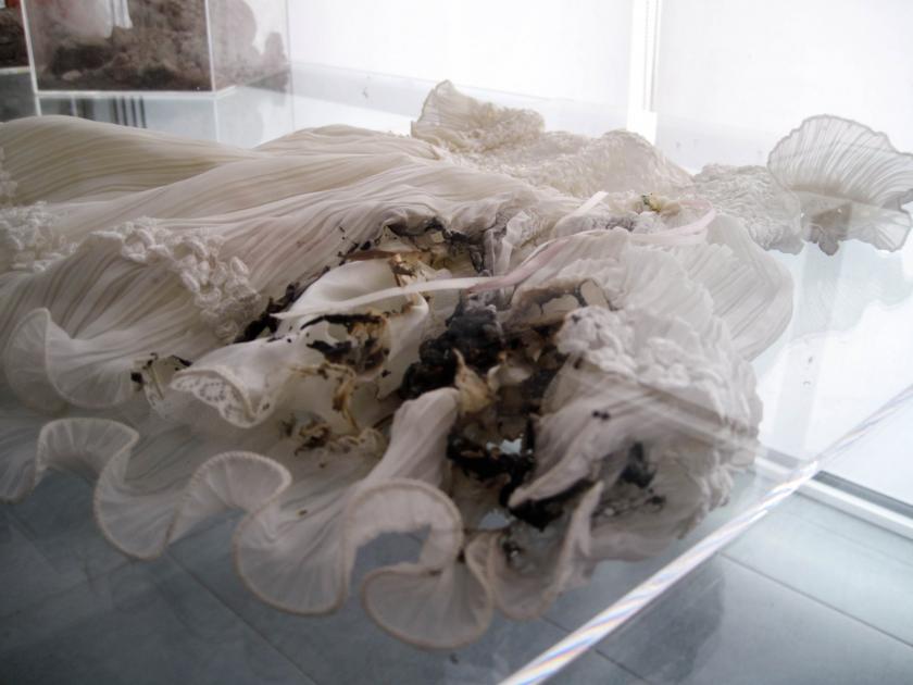 INSHALLAH 2.2 Dio proteggi il mio bambino Letizia Bellavoine Opera Celeste Network