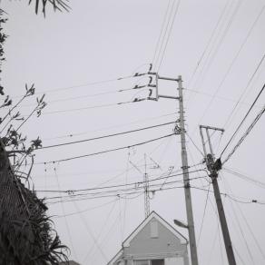 electrical wires -feti