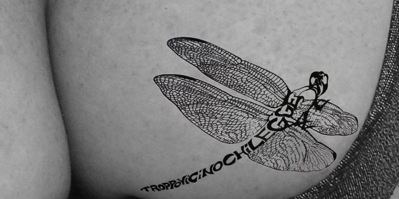 Il Segno 2011. Premio nazionale d’arte contemporanea Il Segno 2011. Premio nazionale d’arte contemporanea