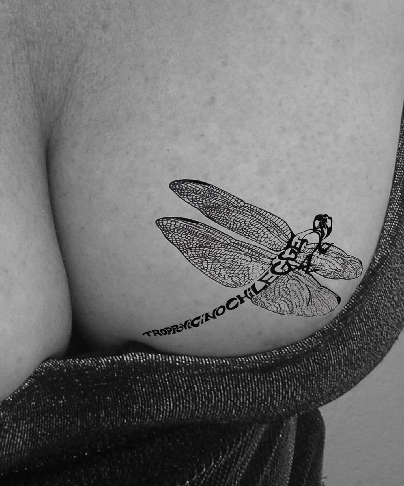 Il Segno 2011. Premio nazionale d’arte contemporanea Il Segno 2011. Premio nazionale d’arte contemporanea