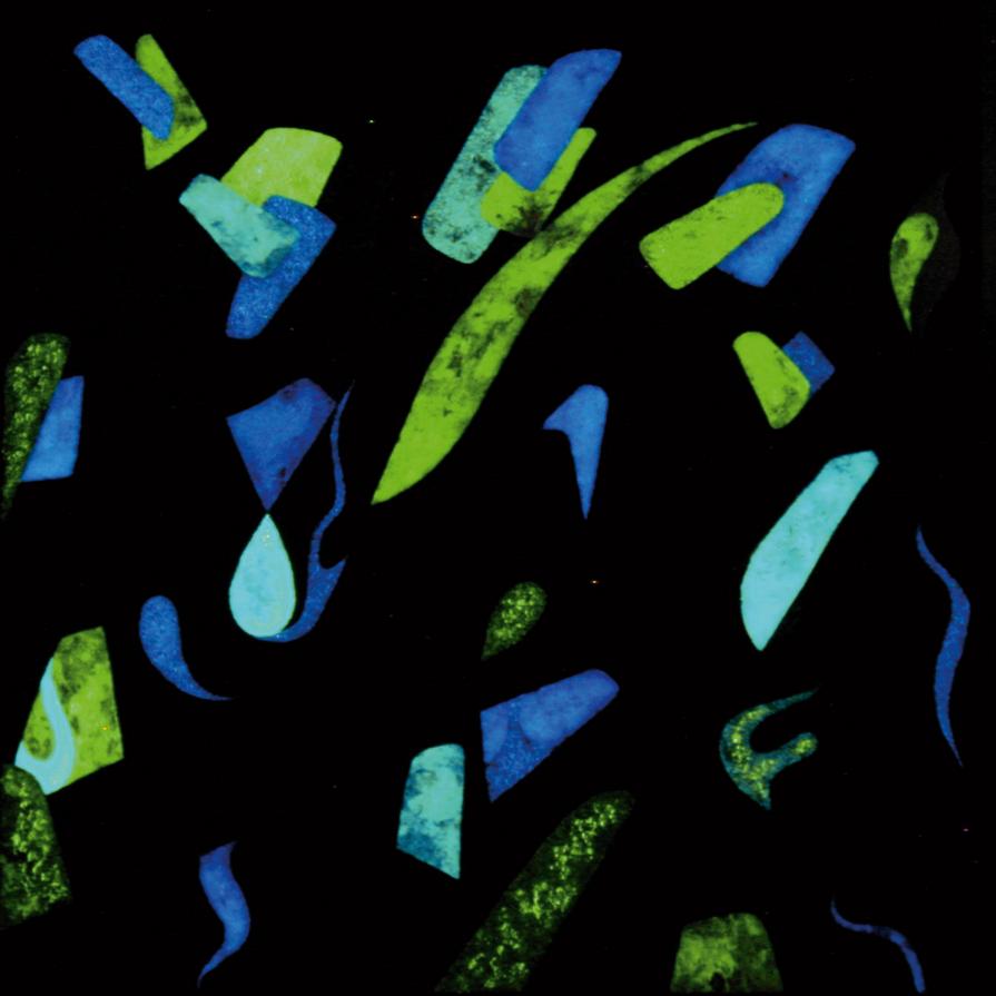 Allegro barbaro ( B.Bartòk )  (opera al buio)