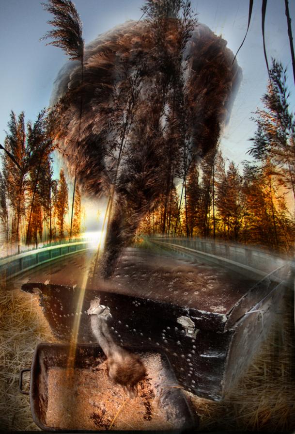 luci di tramonto sul ponte sul Po a Casalmaggiore.