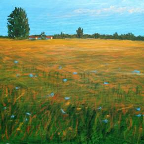 Elena Mordenti  – Campagna