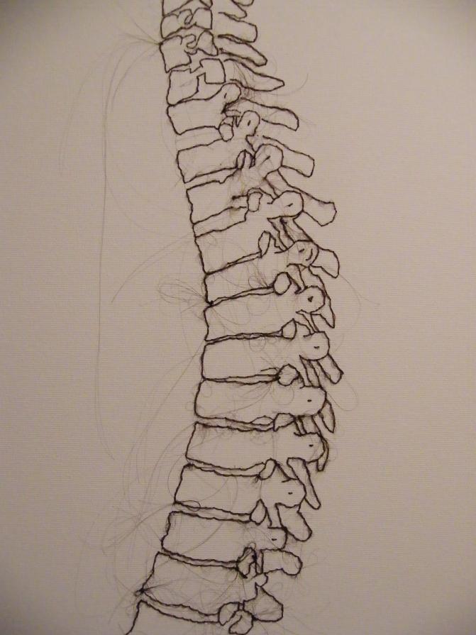 Steps and Stairs and Ladders to Climb, Slipping and Sliding with not much Time