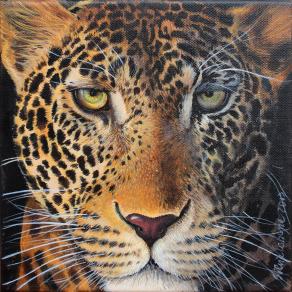 sguardi LEOPARDO