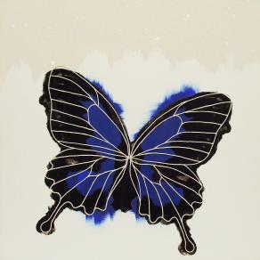 butterfly 2