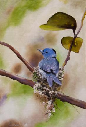 al riparo di una foglia