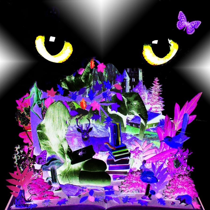 TRA LA MIA ANIMA E IL MIO CUORE...!!!