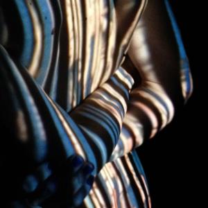 Studio#9: da “Peonie e canarino” Katsushika Hokusai,1834.