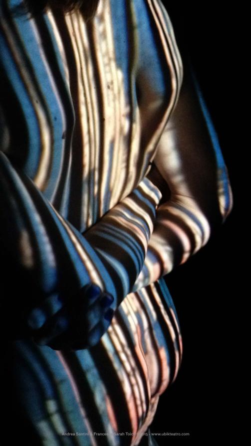 Studio#9: da “Peonie e canarino” Katsushika Hokusai,1834.