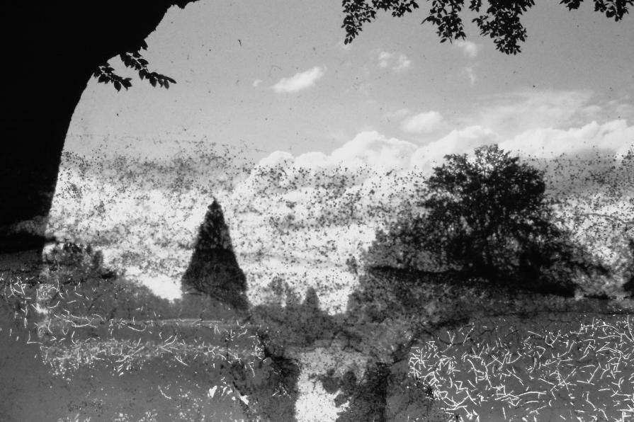 Burnt Slide Black and White Conversion