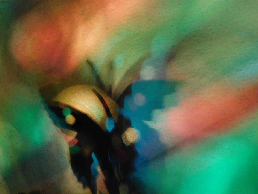 I COLORI DELLA BIODIVERSITÀ