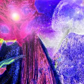 ...Ogni rosa è preda dell’inverno...!!!