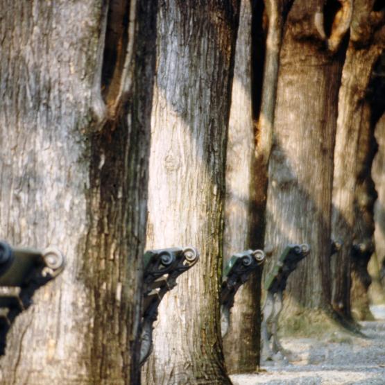 "Dettaglio italiano" - Modena (1992)