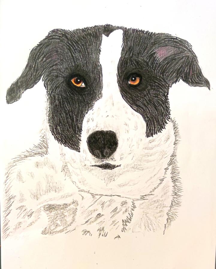 ...Un cane ti insegna amore incondizionato ....