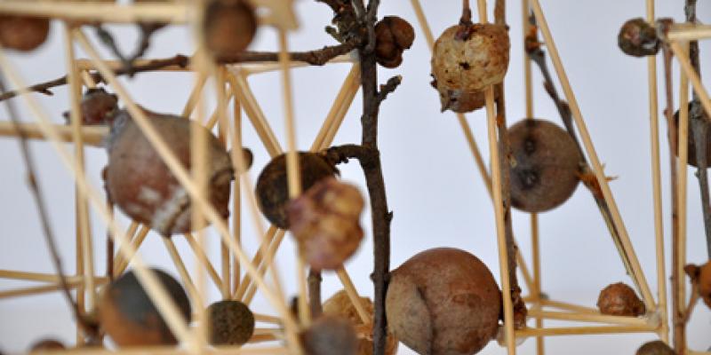 Goodesign 2015 - The natural circle Goodesign 2015 - The natural circle