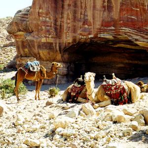 Giordania. Deserto e pietre