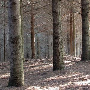 Italia. Calabria. Campagne