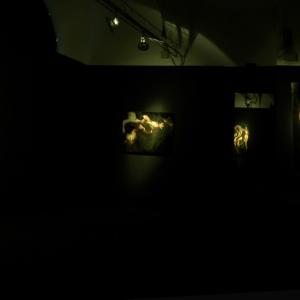 ROBERTA CONI-TENTAR LA CARNE inferno I