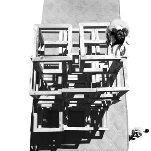 Premio Pittura INAIL 2012 II°Ed.