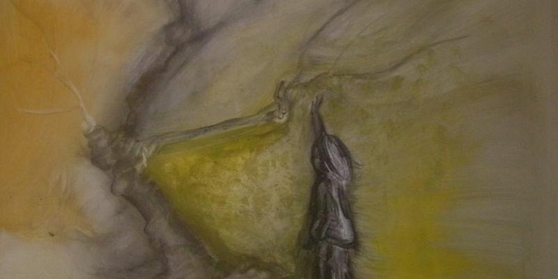 Viaggiando tra colori e fantasia Viaggiando tra colori e fantasia