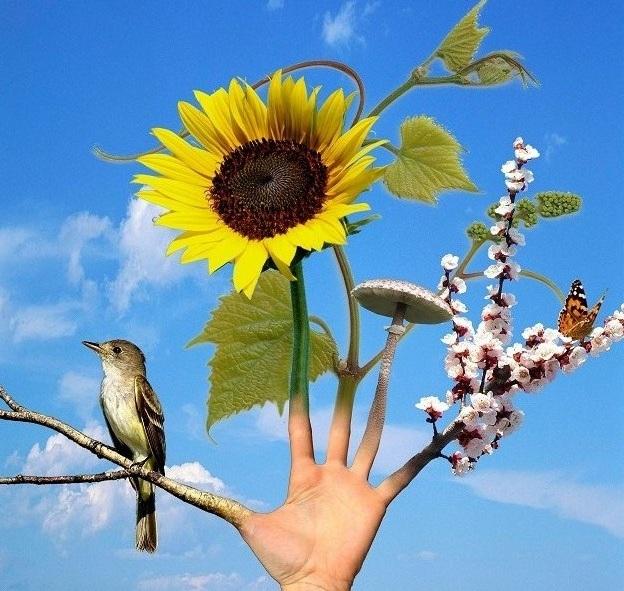 PROROGA ISCRIZIONI PremioArteRugabella 2012