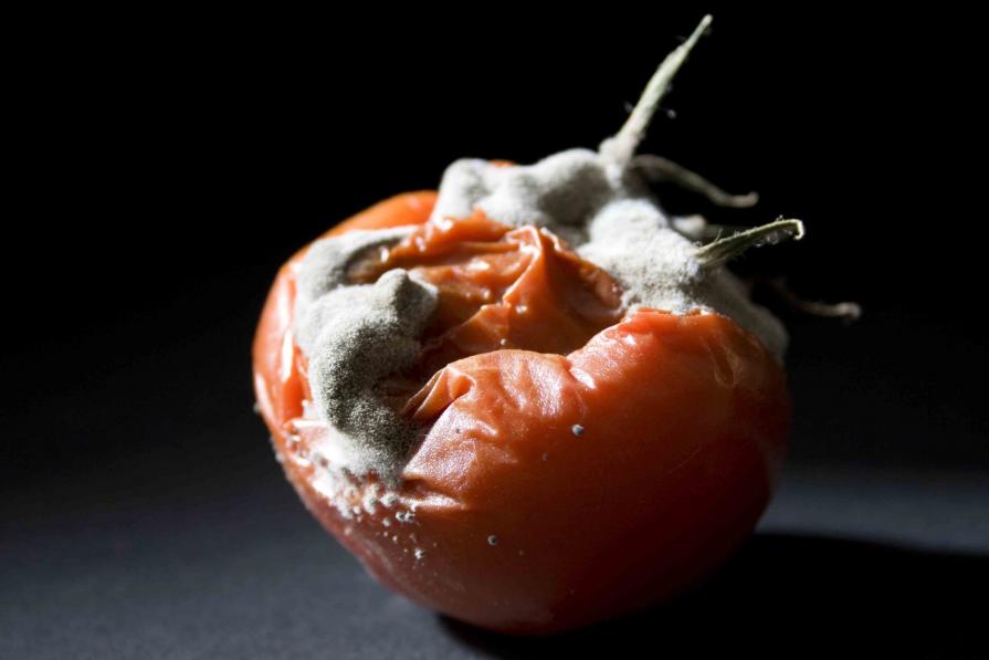 gioielli del tempo_6730