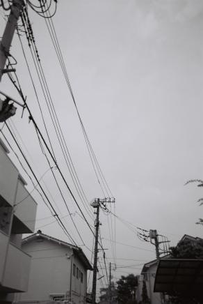 Electrical wires=feti