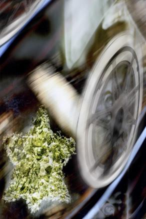 mai piu' viaggi in massa.