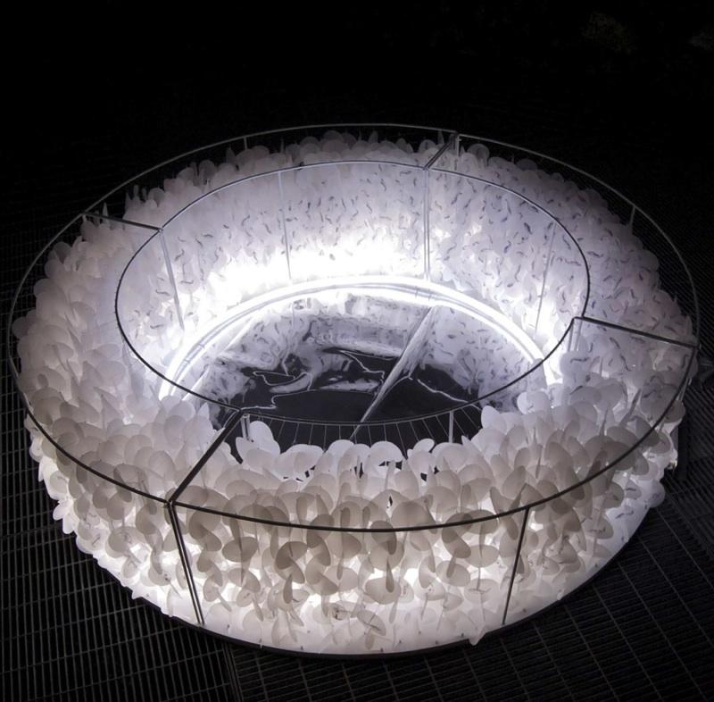 Stream of Consciousness Stream of Consciousness