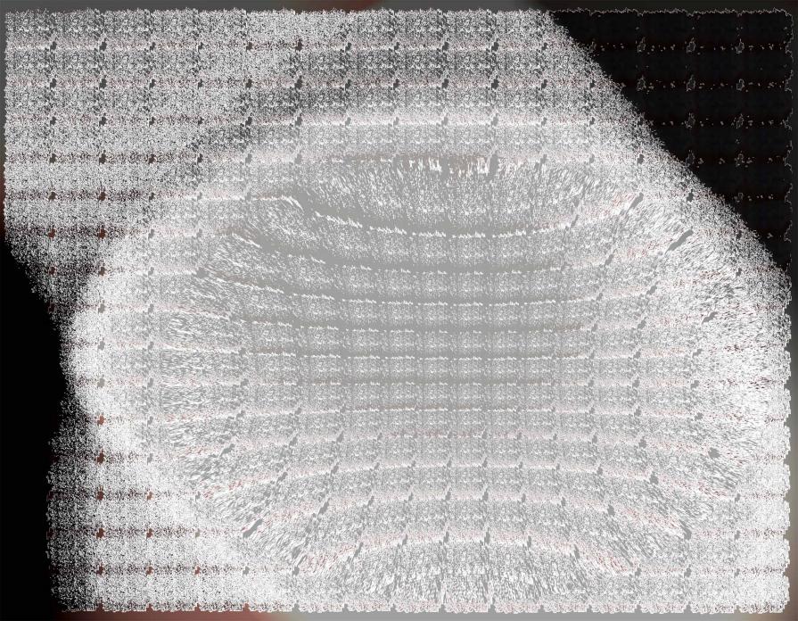 The white exudes, La purezza del bianco (experiment 2) The white exudes, La purezza del bianco (experiment 2)