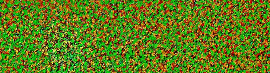 Keep the planet green with eco-friendly green energy and the legalization of marijuana