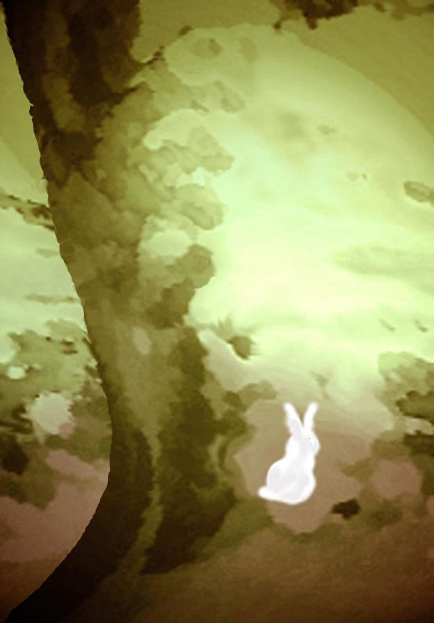 white rabbit
