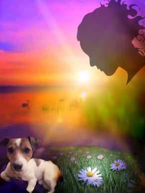 ...IL VOLTO E' LO SPECCHIO DELLA MENTE E GLI OCCHI SENZA PARLARE CONFESSANO I SEGRETI DEL CUORE...!!