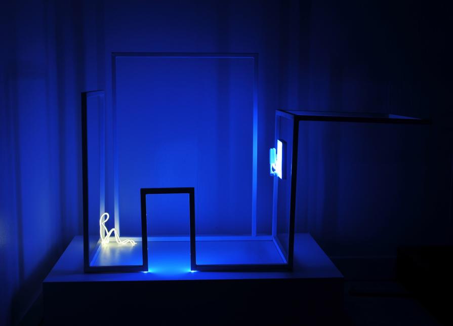 Did you see me? Did you see me?