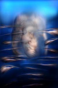 maurinomangiapanino - Dormi piccolina ...la dove le onde ti cullano e i pesciolini fanno capolino intorno a voi,il tuo papa' non ti ha lasciato solo ,stretta stretto a lui,