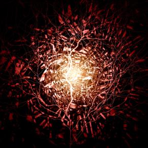 Are you ready?.... i'm not !!